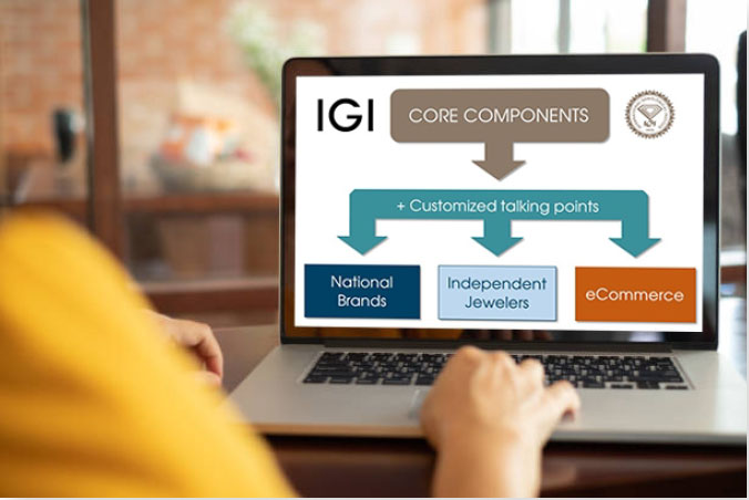IGI education core components diagram